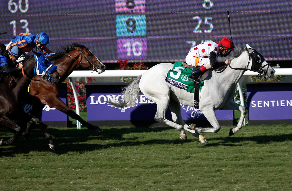 Favored World Approval Wins Breeders’ Cup Mile